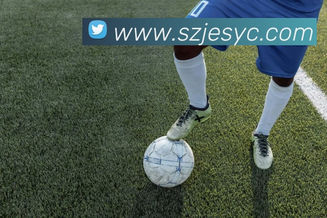 mksports服务体系